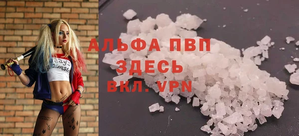 ГАЛЛЮЦИНОГЕННЫЕ ГРИБЫ Волосово