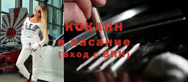 сатива Волоколамск