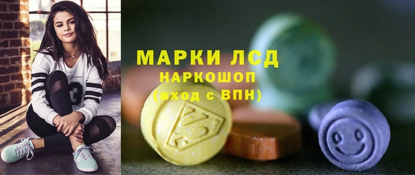 сатива Волоколамск
