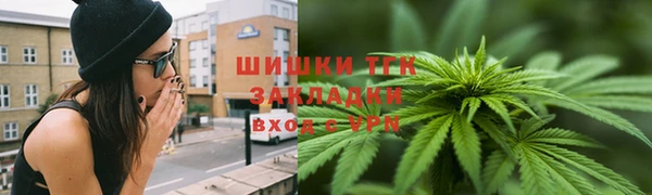 сатива Волоколамск
