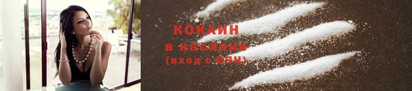 крисы Володарск