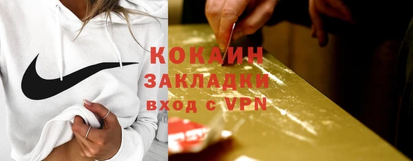 сатива Волоколамск