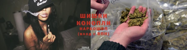 ГАЛЛЮЦИНОГЕННЫЕ ГРИБЫ Волосово