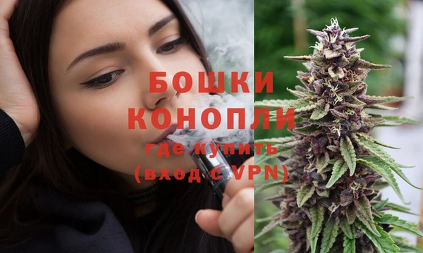 сатива Волоколамск