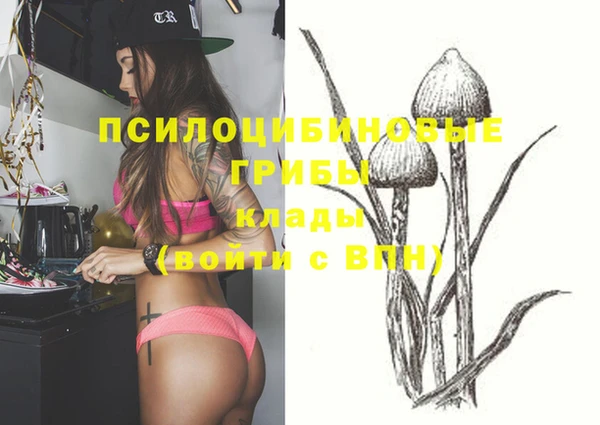 ГАЛЛЮЦИНОГЕННЫЕ ГРИБЫ Волосово