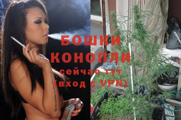 сатива Волоколамск
