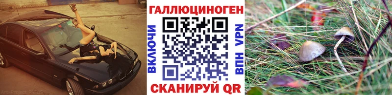 дарнет шоп  Иваново  Галлюциногенные грибы MAGIC MUSHROOMS 
